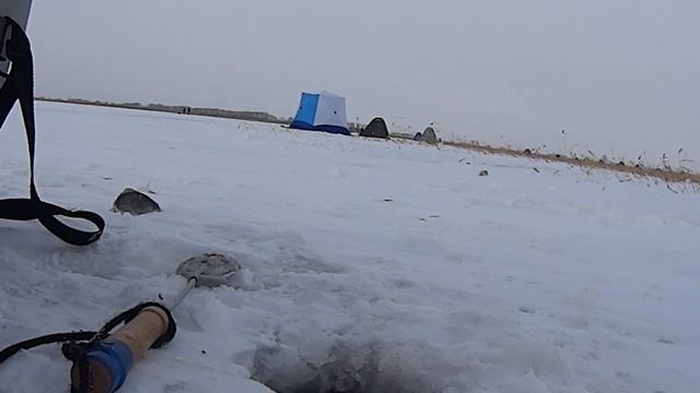 Ловля карася со льда Пулеметный клев мелких пятачков смотреть онлайн