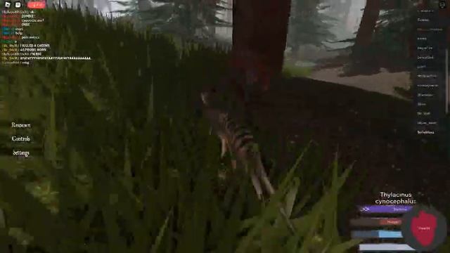 [Roblox] Cenozoic Survival Testing: Thylacine! [CAPTIONS] смотреть онлайн