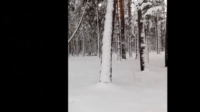 С новым годом и Рождеством! смотреть онлайн