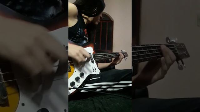 Ora Pro Nobis Lucifer Behemoth (Bass Cover) смотреть онлайн