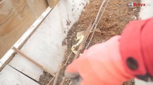 Весенние работы по уходу за виноградом в Сибири. Рекомендации эксперта