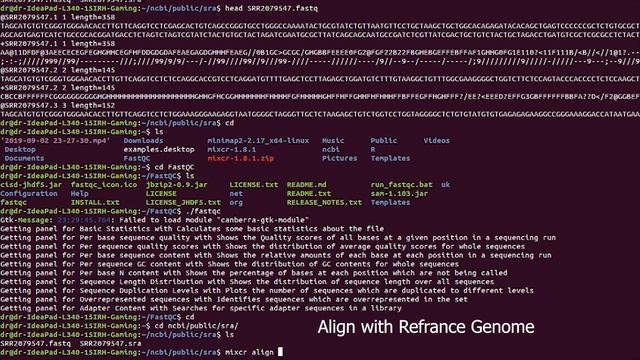 Next Generation Sequencing (NGS) - Data Analysis in 4 minutes (Bioinformatics) смотреть онлайн