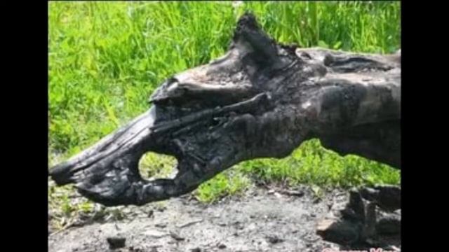 Удивительное рядом... смотреть онлайн