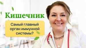 Кишечник-главный орган иммунной системы? Отвечает врач-иммунолог,кмн Ольга Брум.