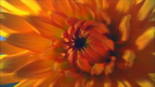 Стих о Любви смотреть онлайн