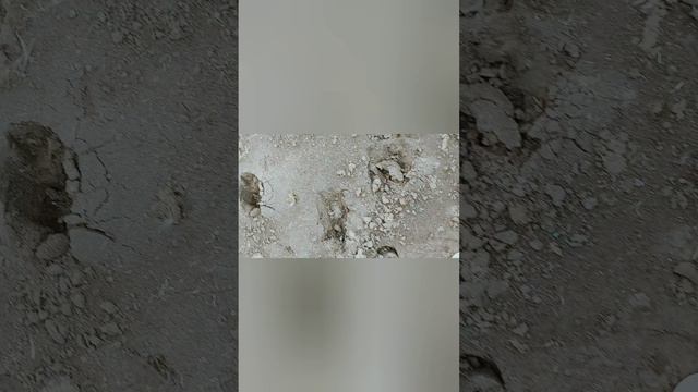 Рыбалка на озере смотреть онлайн