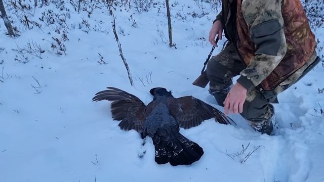 Тайга и охота зимой на вездеходе Тайфун. Typhoon all-terrain vehicle hunting in the Russian forest. смотреть онлайн