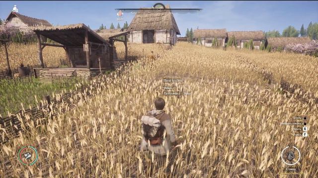 Medieval Dynasty. Гайд: Полевые культуры, применение, управление посевами, сочетание на одном поле. смотреть онлайн