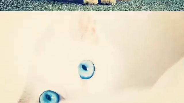 Я пою песню. В гостях у сказки! ?????? смотреть онлайн