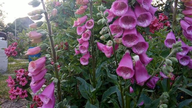 Посмотрите Что Я Сделала из Секондовской Ветоши смотреть онлайн