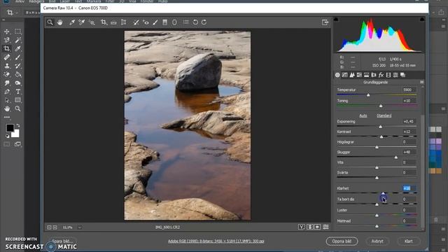Photoshop CC - Redigera i RAW format över till PSD och JPG смотреть онлайн