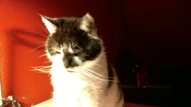 World Series 2016 1st Round started смотреть онлайн