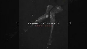 Скриптонит &  Pharaoh - Твоя сука