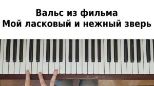 МОЙ ЛАСКОВЫЙ И НЕЖНЫЙ ЗВЕРЬ НА ПИАНИНО Урок №2 как сыграть на фортепиано Вальс Дога красивая песня