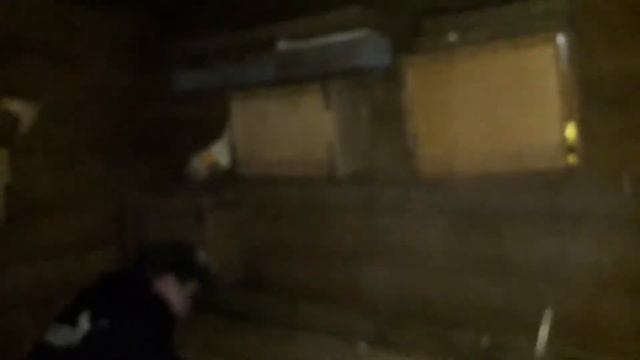 Что находится в старом сарае? Разбираем, кого спасаем! смотреть онлайн