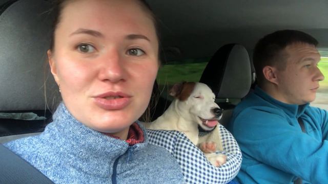 НОРВЕГИЯ. Путешествие на машине / NORWAY. Traveling by car смотреть онлайн
