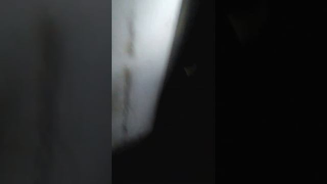 Вот так мы чистим дымоходы смотреть онлайн