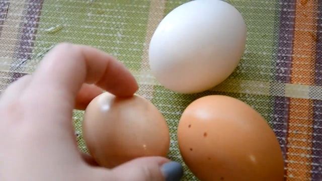 Шоу и Концерты