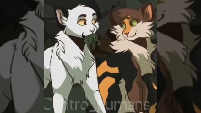 \\Коты воители \\бич//Быстролап/Веснянка/Рыжинка/Чёрнозвёзд/Рябиник// смотреть онлайн