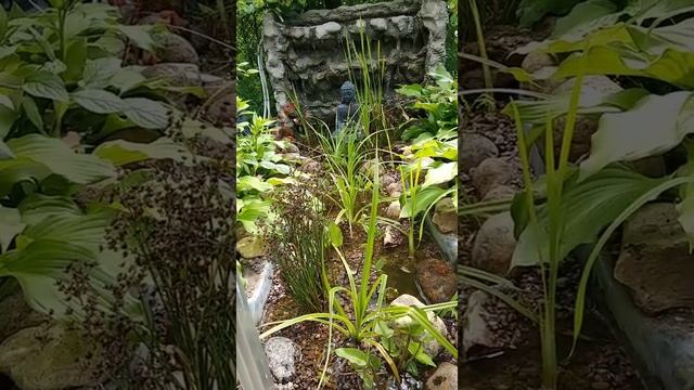 Ручей и водопад своими руками смотреть онлайн