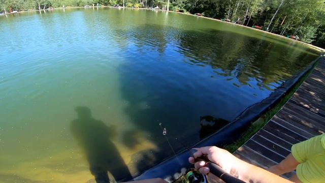 rodio craft 999.9 meister white wolf 62l-trz смотреть онлайн