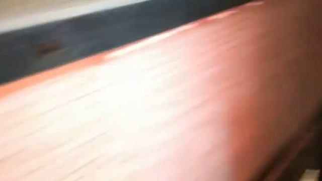 БРУДЕР ДЛЯ ПЕРЕПЕЛОВ!