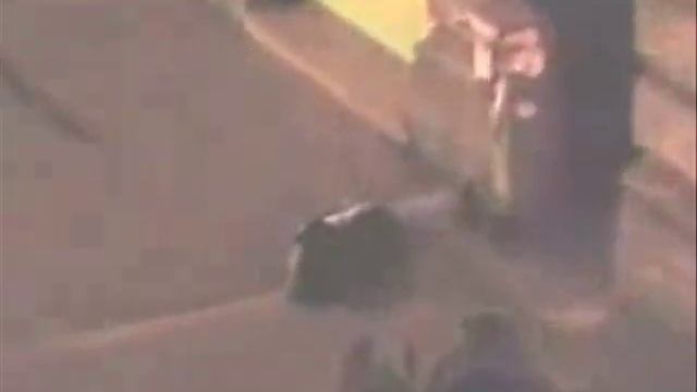 Police actions ordered by the Hungarian left side смотреть онлайн