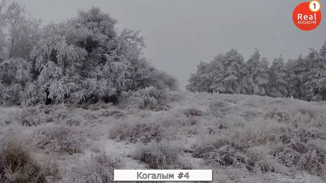 Вечерний Когалым выпуск #4 2021 смотреть онлайн