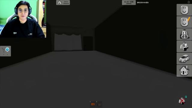 NO PRUEBES ESTOS HACKS DE TERROR DE DE TIK TOK EN BROOKHAVEN 🏡 A LAS 3 AM | JehxTp смотреть онлайн