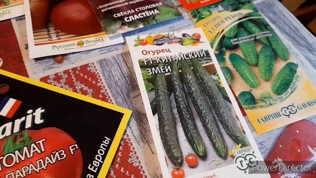 Куры не хотят!?)//Что сею на рассаду?/Life in the South of Russia смотреть онлайн