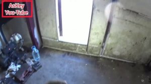 форд фокус 2 замена заднего сайлентблока переднего рычага