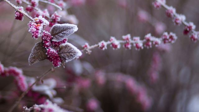 Апостол дня. 13 декабря 2023 года смотреть онлайн