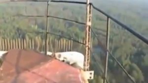 РЛС ДУГА Чернобыль 2