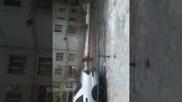 Как перепрыгивать через заборы смотреть онлайн