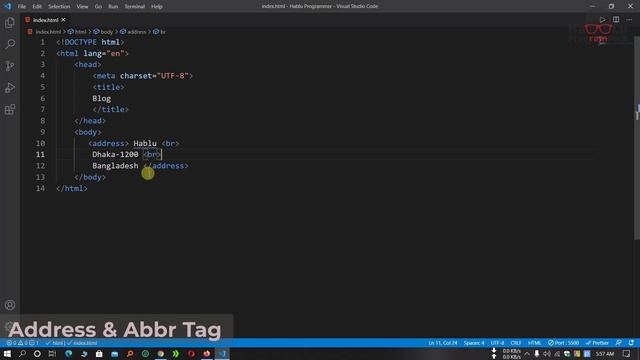 9. HTML Address & Abbr Tag | Complete Web Development Course with Hablu Programmer | Bangla смотреть онлайн