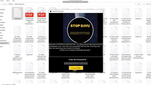 HOw to Decrypt .MZRE Virus Files ( Ransomware ) | Remove .Mzre Virus | STOP DJVU Decryptor смотреть онлайн