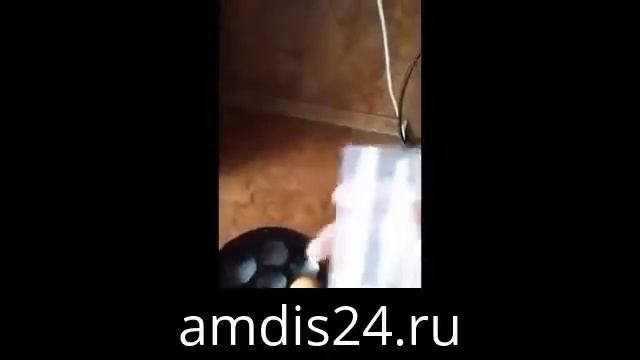 Яйцеварка Sinbo SEB 5802