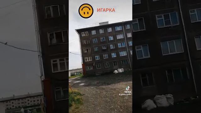 #игарка #лето2023 #природа