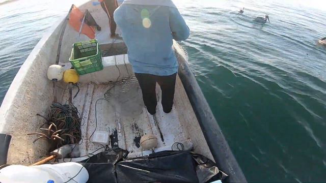 Un día de pesca en alta mar, levantando las redes смотреть онлайн