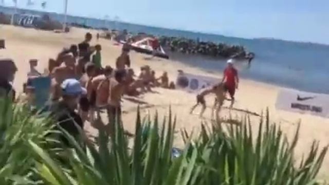 Пляж? Борьба?♂️ Одеса?? ? Danya ?