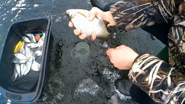 Рыбалка со льда на Ахтубе