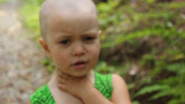 Троица: Идет бычок качается... смотреть онлайн