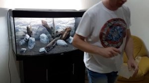 Аквариум Juwel vision 260 л. Запуск.  Устанавливаем оборудование в аквариум. Выпуск 3.