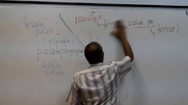 GIT Block Lec1 Prof Wagih "female" part 7 смотреть онлайн