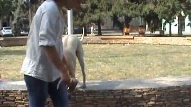 Хэндлинг Бэль 8 мес