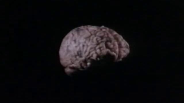 Женские финансы и инвестиции