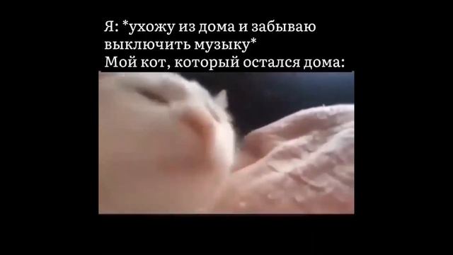 ТОП ТИК-ТОК | В КАЖДОЙ БАБЫ ДОЛЖНА БЫТЬ ИЗЮМИНКА | ВЫПУСК 1 смотреть онлайн