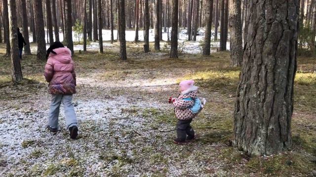 Прогулка в лесу смотреть онлайн