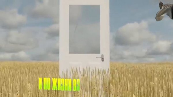 Александр Гудков Я узкий