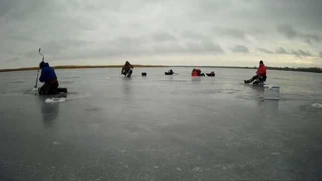 Чемпионат Ростова-на-Дону по ловле на мормышку 2019 смотреть онлайн
